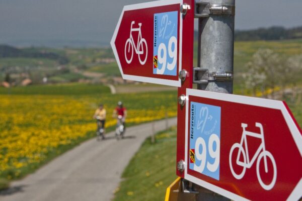 hertzroute romont - Hôtel Restaurant La Belle Croix Romont